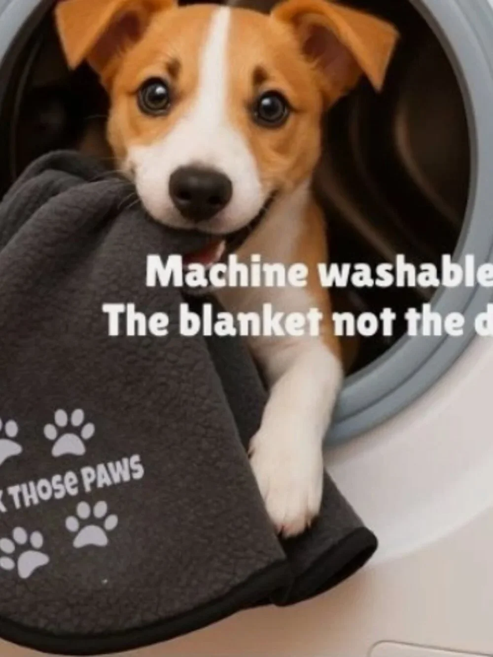 Park Those Paws Foldable, Waterproof, Dog Blanket / Size LG/XL